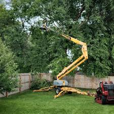 Leaf Removal in Tifton, GA